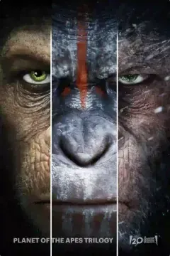 Massive 4K Movies and Cinema Video on Demand